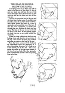 Heads, Features and Faces