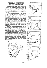 Heads, Features and Faces