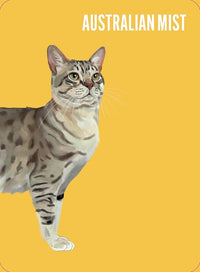 Heads & Tails: Cat Memory Cards