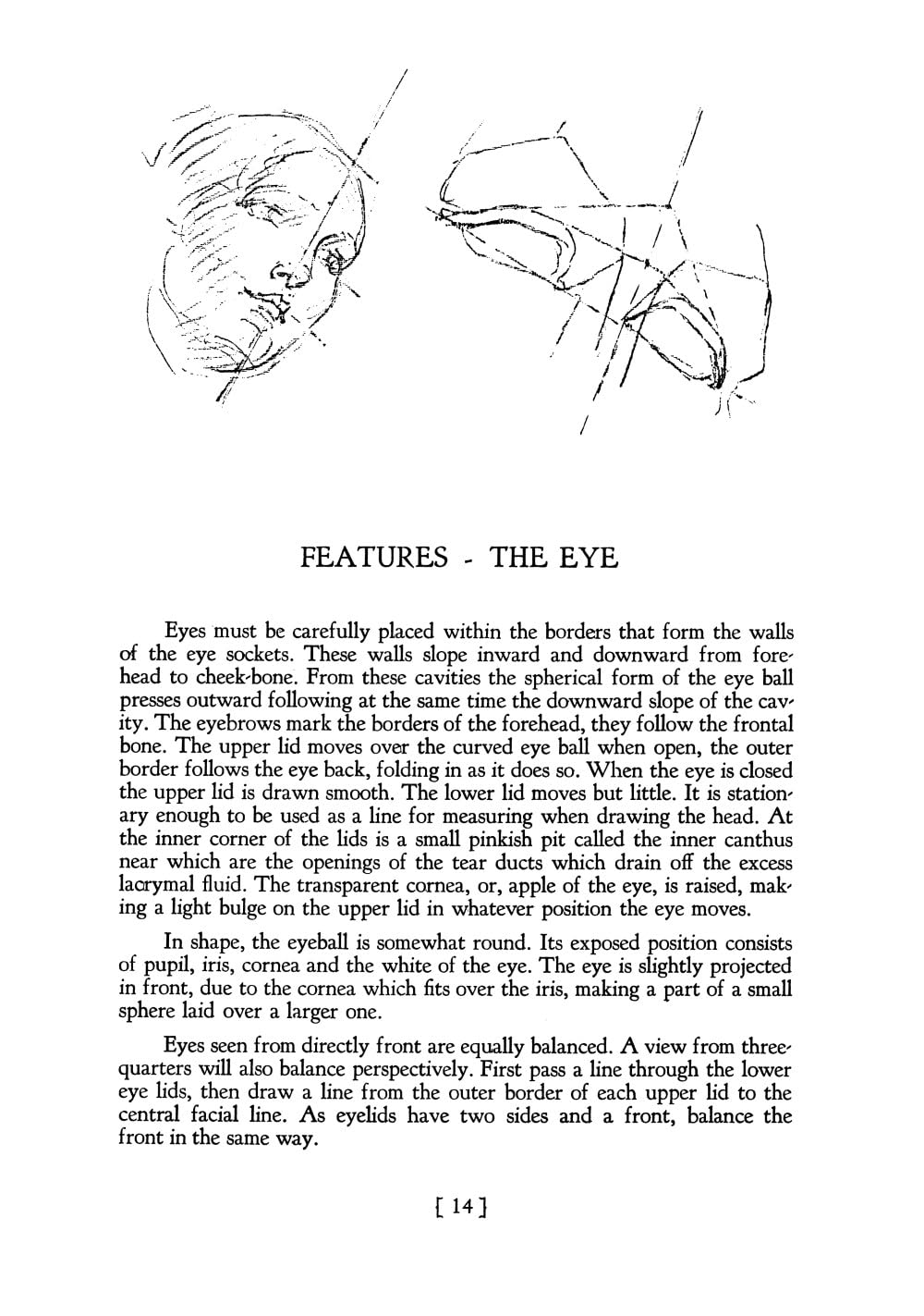 Heads, Features and Faces