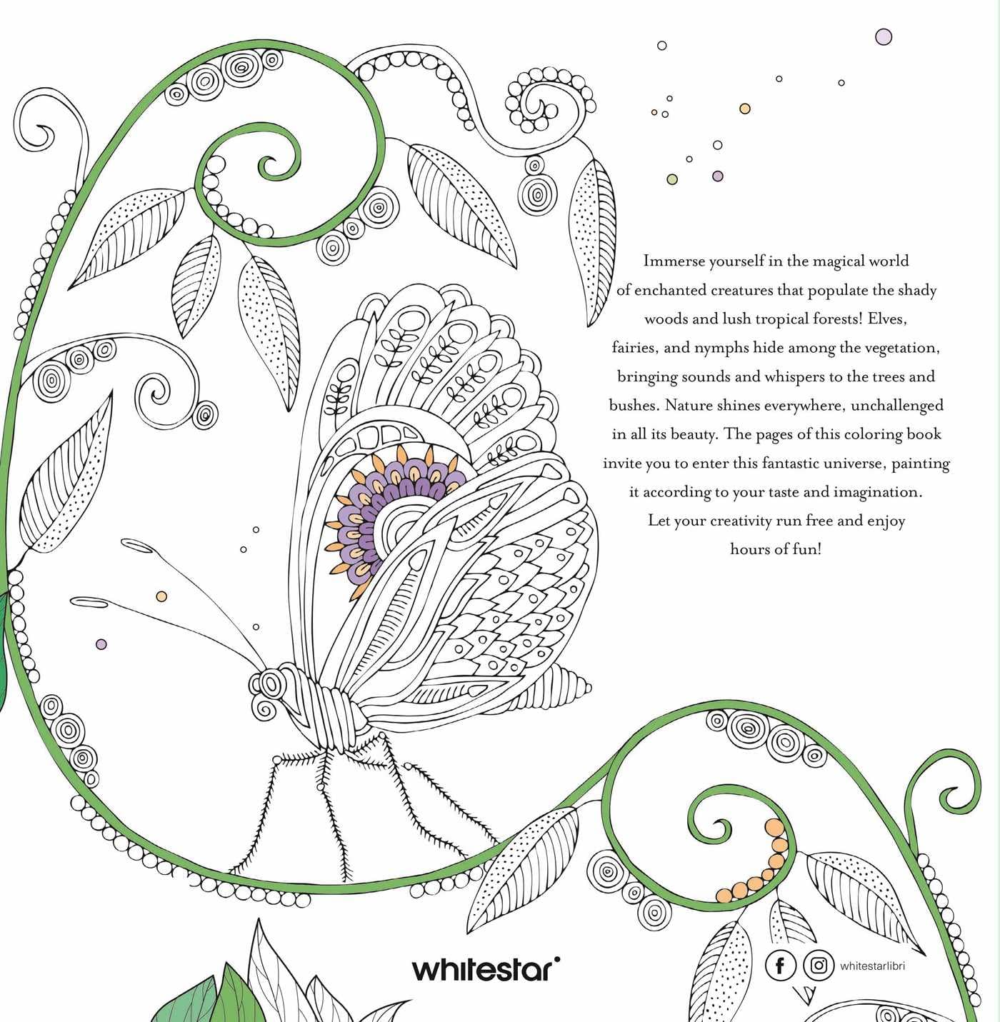 Magical Nature: Colouring Book
