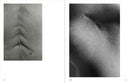 Ishiuchi Miyako: Traces