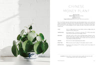 House of Plants: Living with tropical plants, succulents and cacti