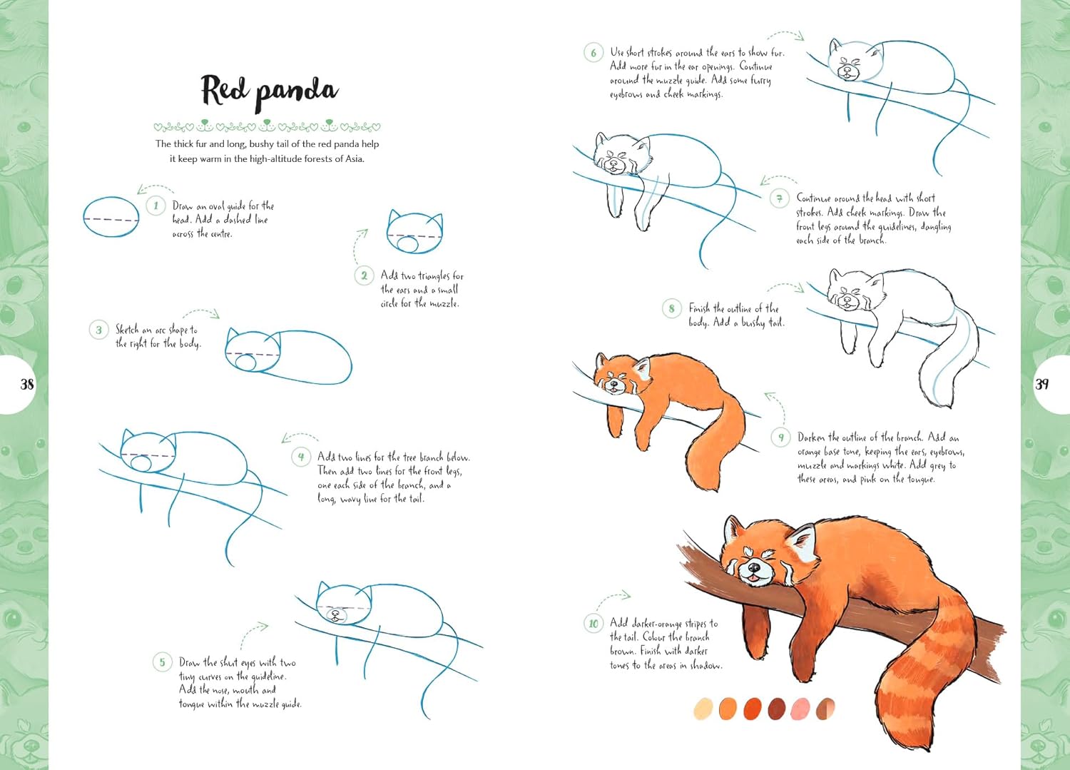 10 Step Drawing: Cute Animals: Draw over 50 adorable animals in 10 easy steps
