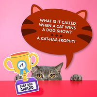 100 Cat Jokes