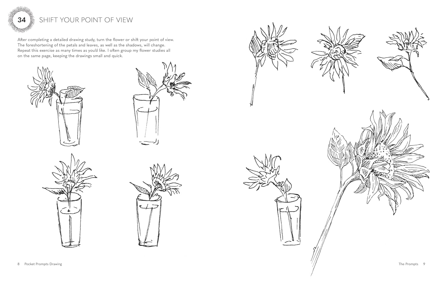 Pocket Prompts Drawing: Tips & Techniques to Inspire Your Practice