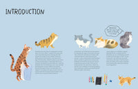 Drawing Class: Cats at Home and in the Wild