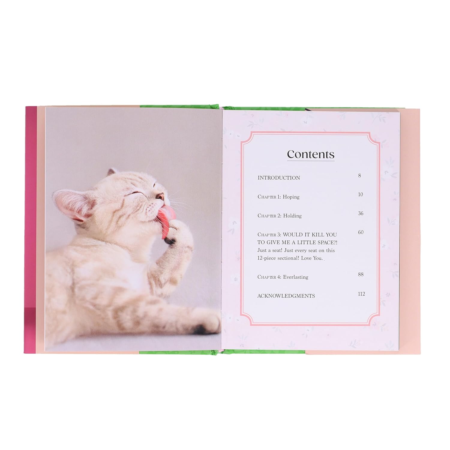Oh. It's You.: Love Poems by Cats