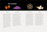 Charm Casting: Decode magickal symbols to reveal your destiny - Includes: casting board, 24 card charms, guidebook and bag