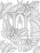 Bugs & Blooms: A Botanical Coloring Book