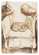 Cats: 50 Postcards