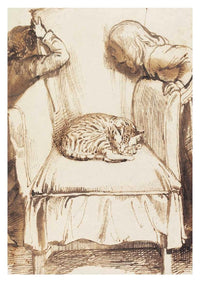 Cats: 50 Postcards
