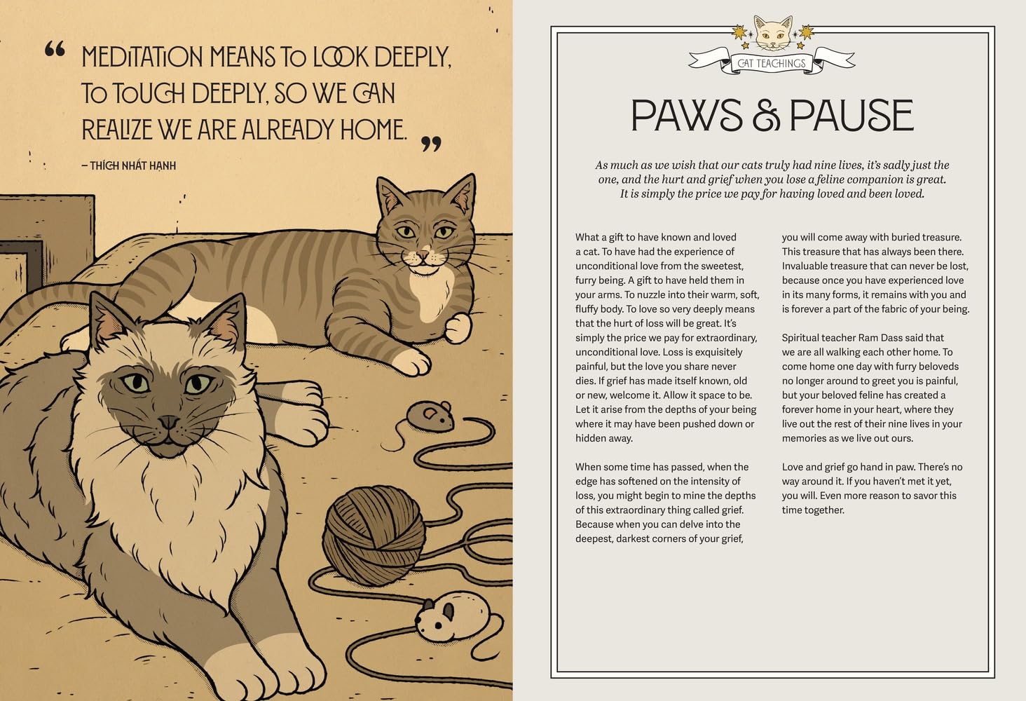 Mystic Kitty: A Cat's Guide to Meditation
