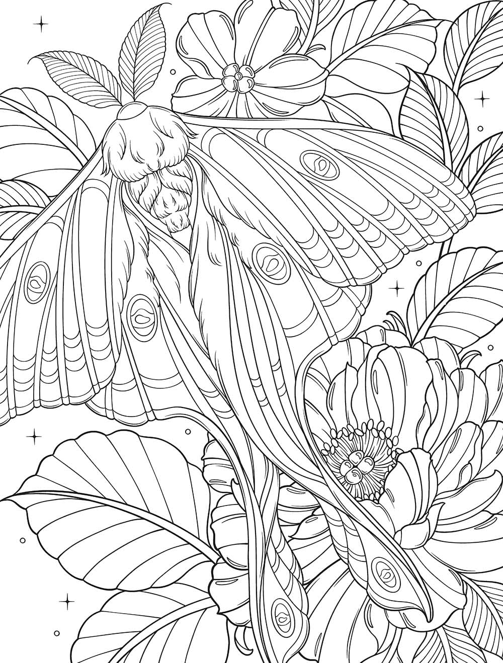 Bugs & Blooms: A Botanical Coloring Book