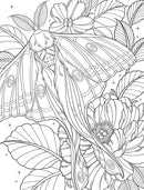 Bugs & Blooms: A Botanical Coloring Book