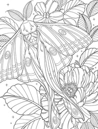 Bugs & Blooms: A Botanical Coloring Book