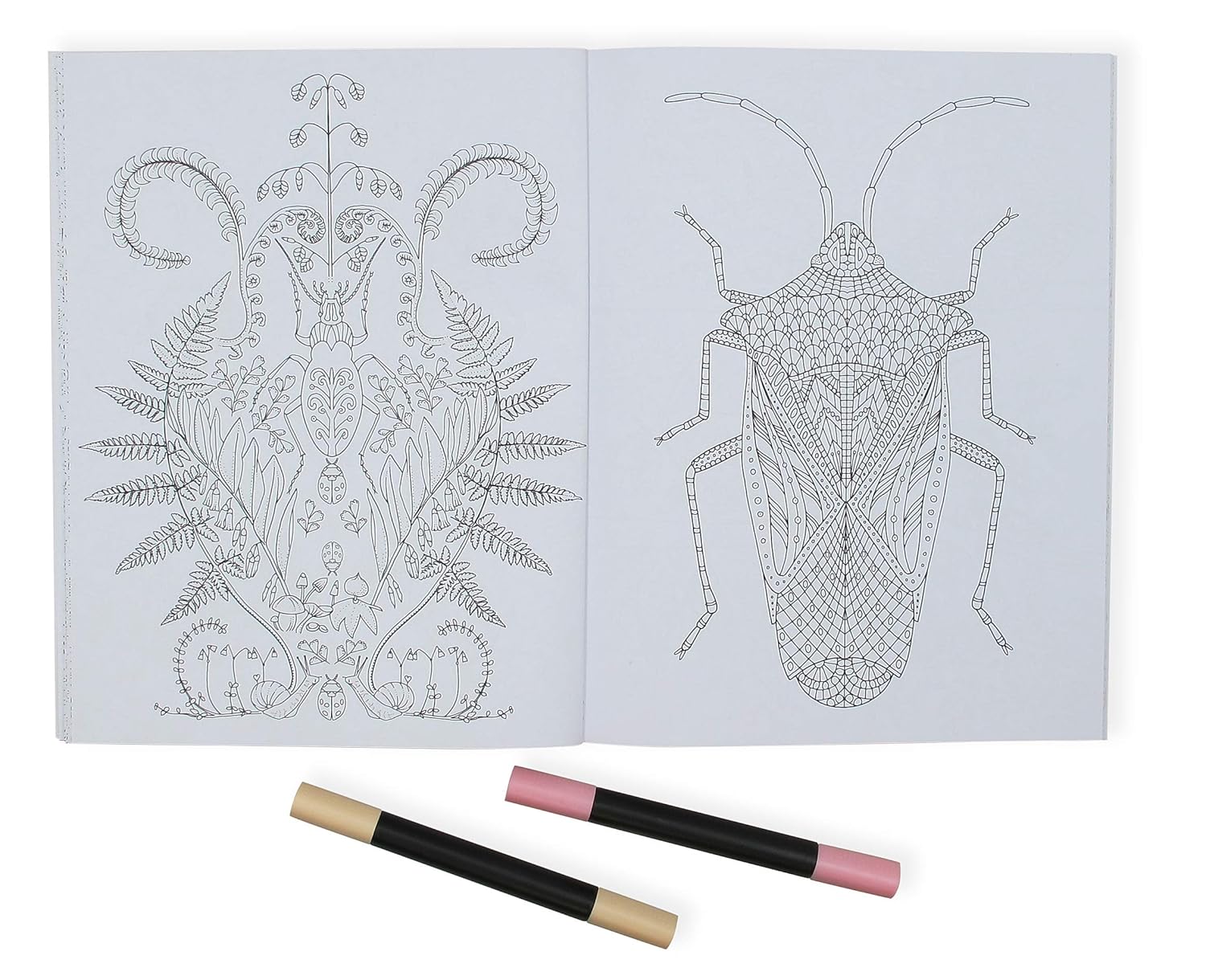 Wonderful Insects Colouring Book