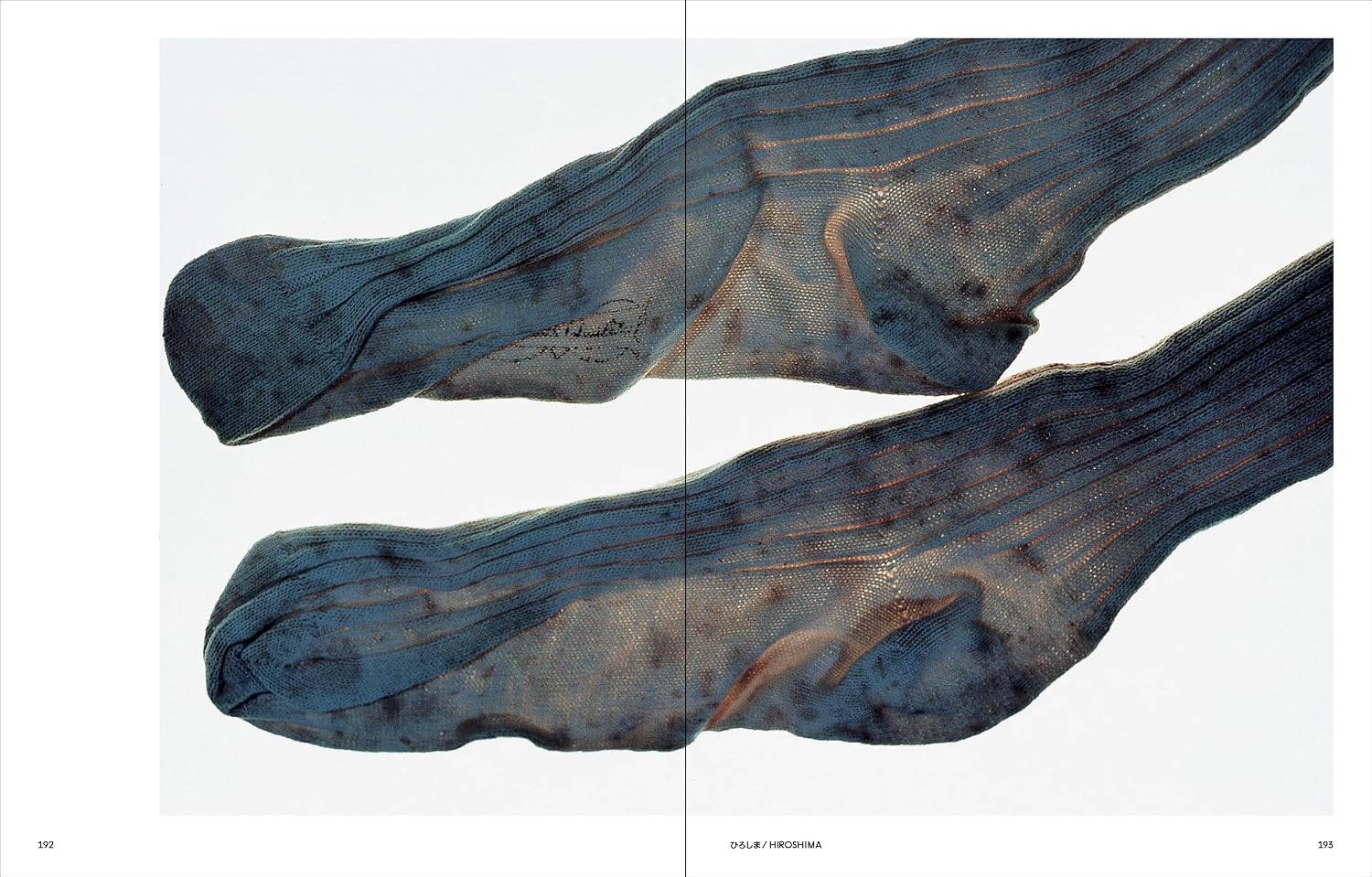 Ishiuchi Miyako: Traces
