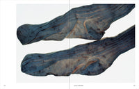 Ishiuchi Miyako: Traces