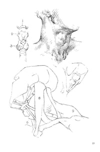 Constructive Anatomy: With Almost 500 Illustrations