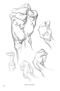 Constructive Anatomy: With Almost 500 Illustrations