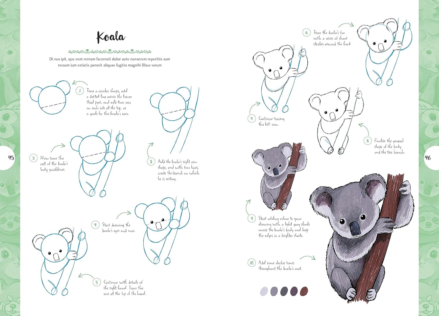 10 Step Drawing: Cute Animals: Draw over 50 adorable animals in 10 easy steps