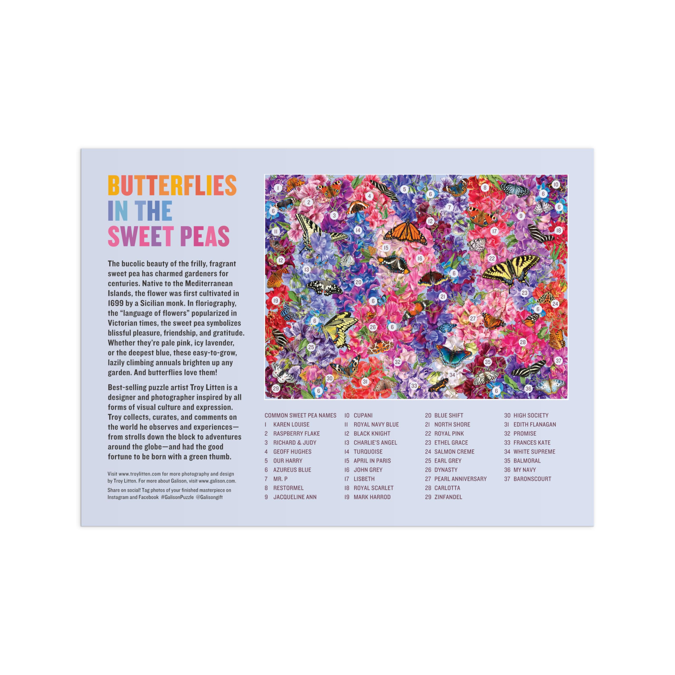 Troy Litten Butterflies In the Sweet Peas 1000 Piece Puzzle