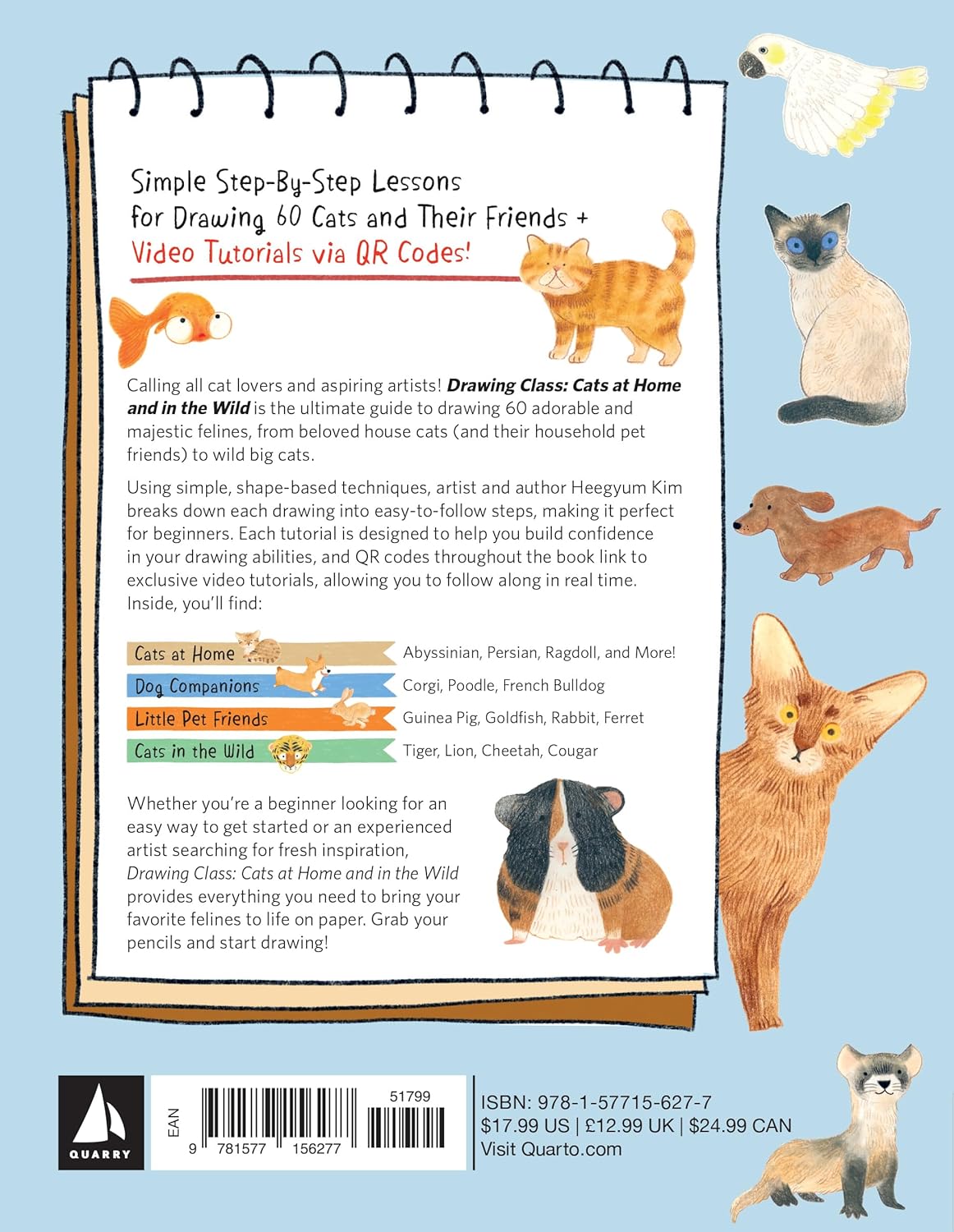 Drawing Class: Cats at Home and in the Wild