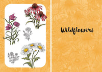 10 Step Drawing: Botanicals: Draw over 50 plants in 10 easy steps