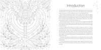 Magical Nature: Colouring Book