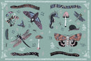 Stickertopium: Gorgeous Gothic: Over 400 Stunning Stickers