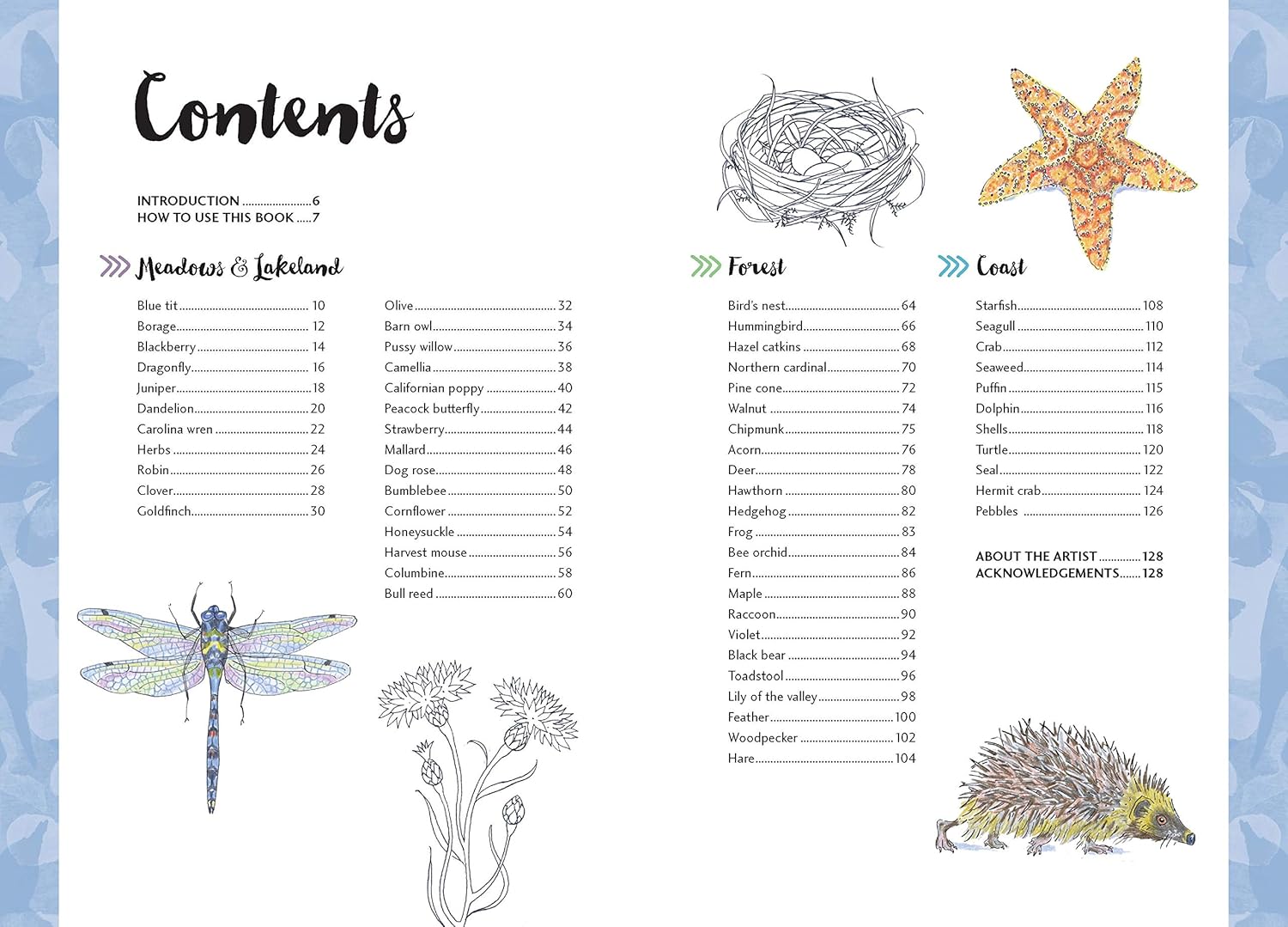 10 Step Drawing: Nature: Draw 60 plants & animals in 10 easy steps