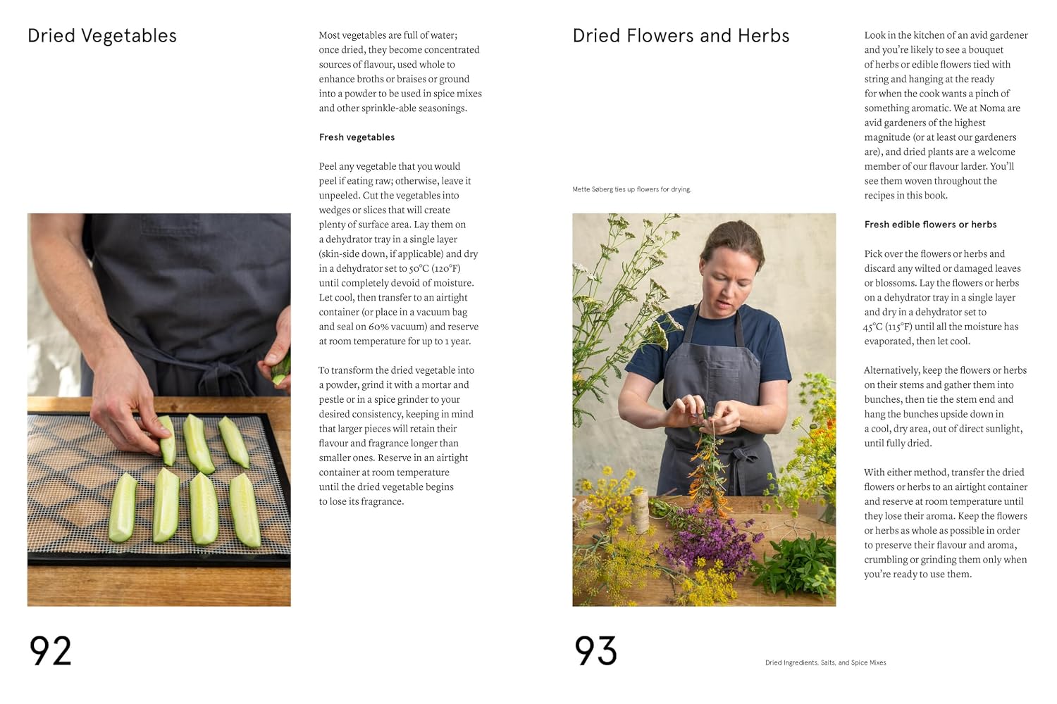 The Noma Guide to Building Flavour: Including recipes and techniques for sauces, butters, broths, reductions, preserves, vinaigrettes, flavoured salts, and infused oils (Foundations of Flavor)