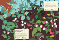 In the Forest: My Nature Sticker Activity Book: 1 (My Nature Sticker Activity Books)