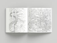 Fantasy Forest Coloring Book: John Bauer's World of Fairies and Trolls