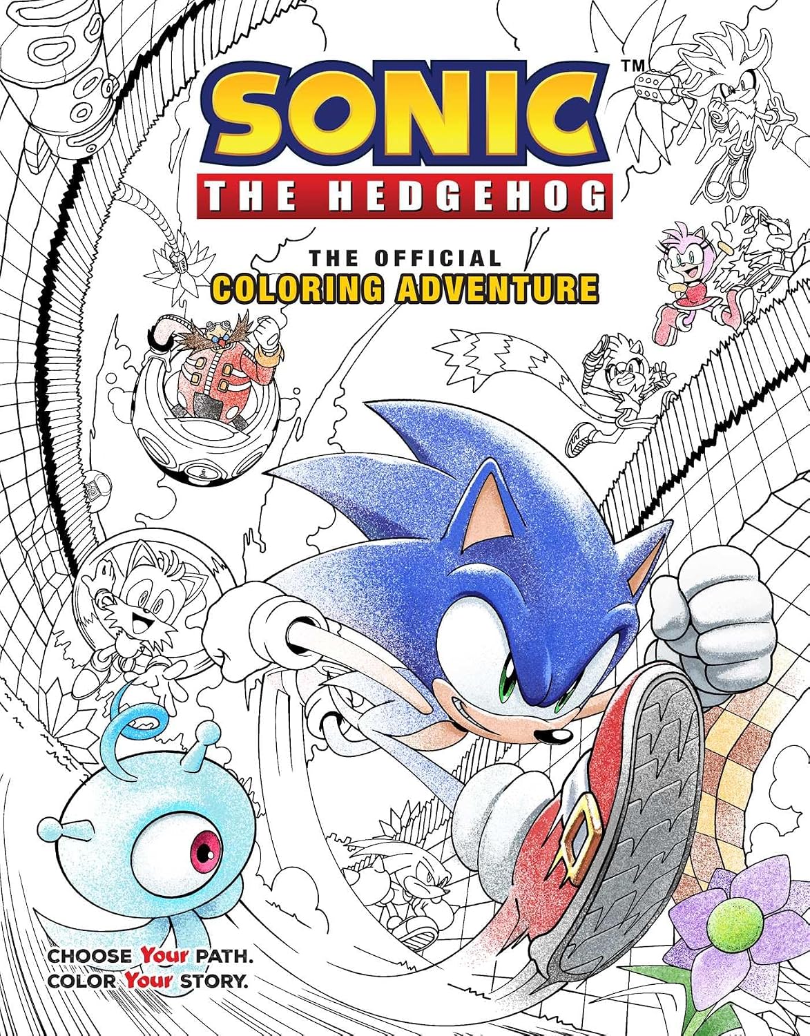 Sonic the Hedgehog: The Official Coloring Adventure