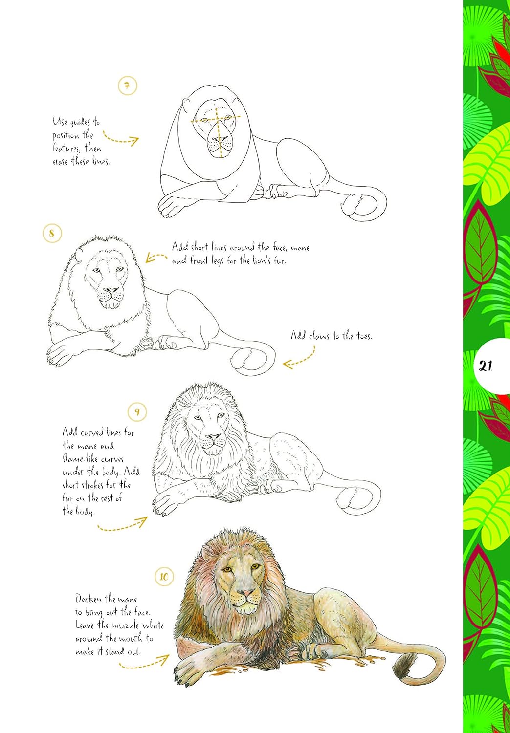 10 Step Drawing: Animals: Draw 75 animals in 10 easy steps