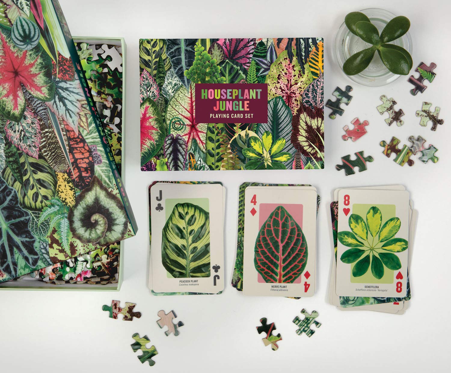 Houseplant Jungle 1000 Piece Puzzle