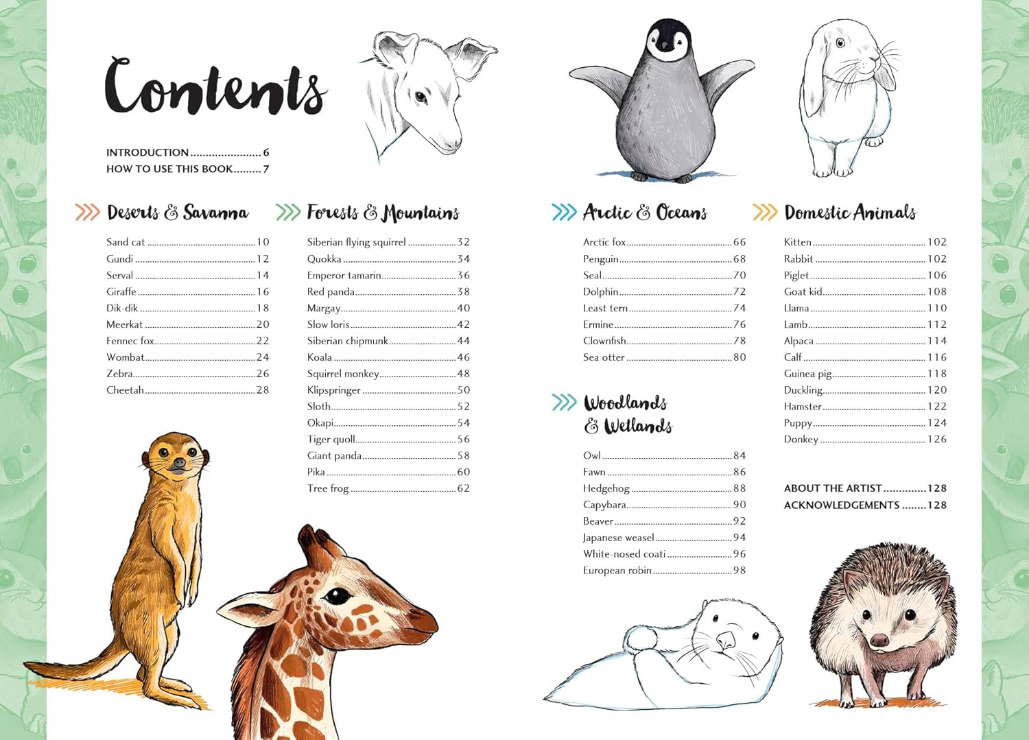 10 Step Drawing: Cute Animals: Draw over 50 adorable animals in 10 easy steps