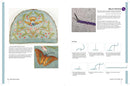 RSN Stitch Bank: 200 Essential Embroidery Stitches