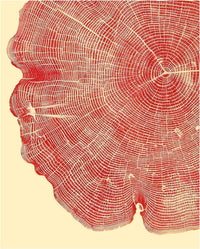 Woodcut Notecards: Notecards in box