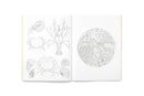 Leila Duly's Beautiful Planet