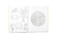 Leila Duly's Beautiful Planet