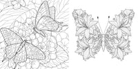 Magical Nature: Colouring Book