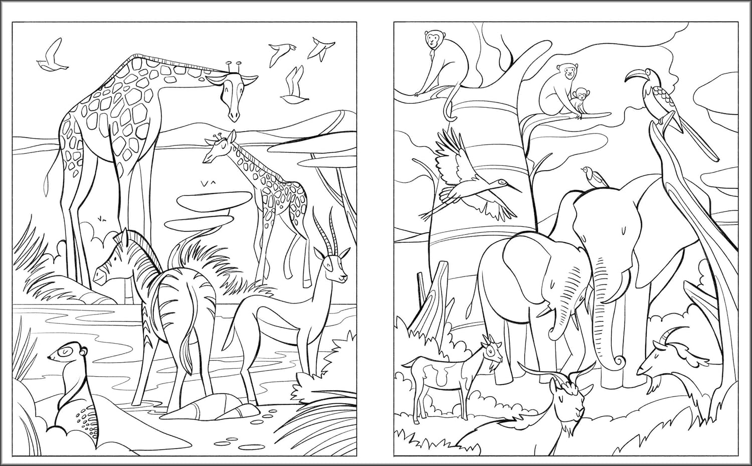 Animals: Coloring Book