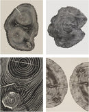 Woodcut Notecards: Notecards in box