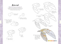 10 Step Drawing: Nature: Draw 60 plants & animals in 10 easy steps