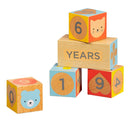 Baby Milestone Blocks Photo Props for Months, Weeks, Years
