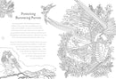 Return of the Wild Colouring Book