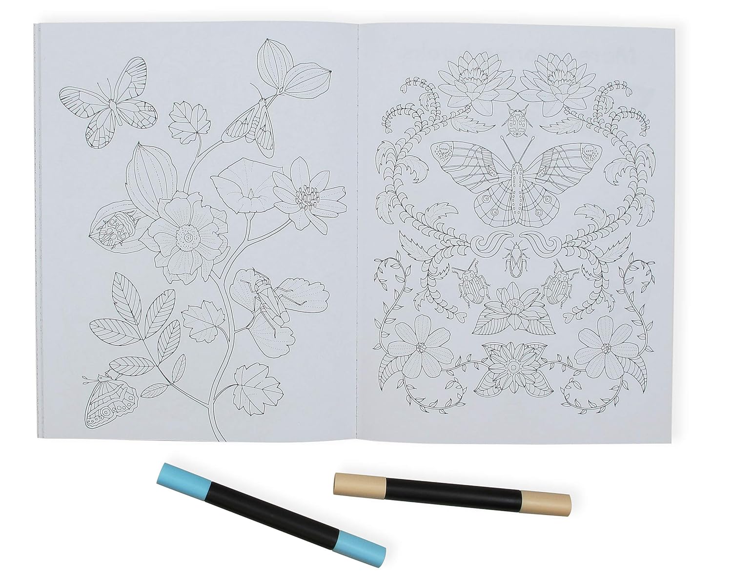 Wonderful Insects Colouring Book